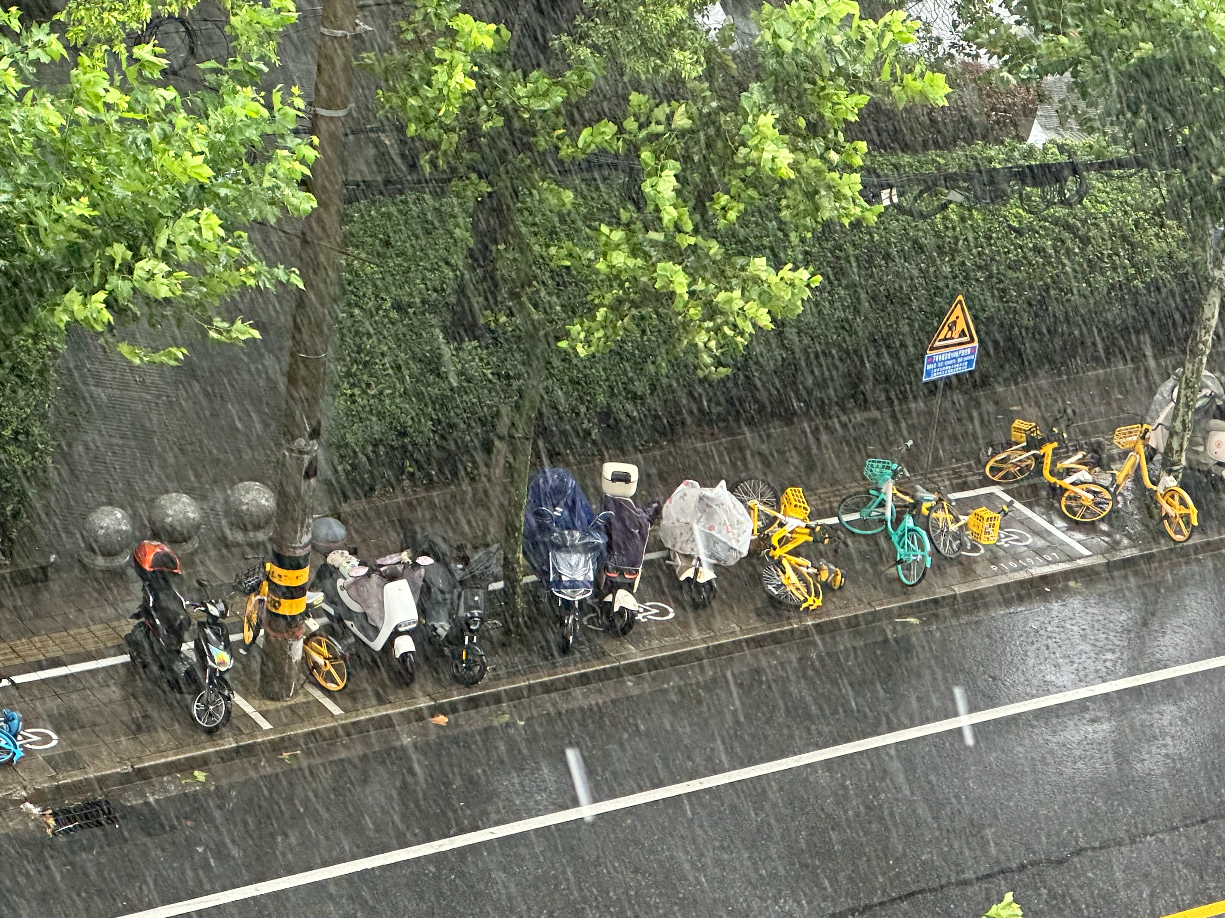 台风天，牛马打工人工作中…… ​​​