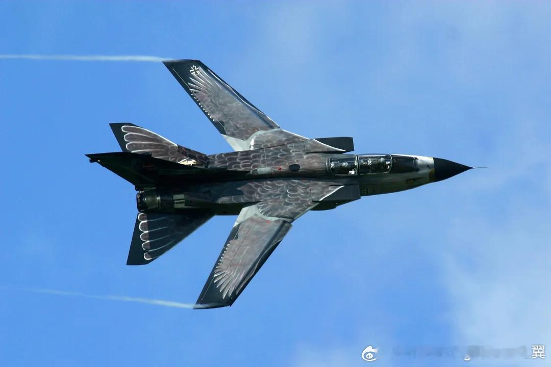 德国空军狂风IDS 2010年时庆祝该机型积累150000飞行小时的老鹰涂装 ​