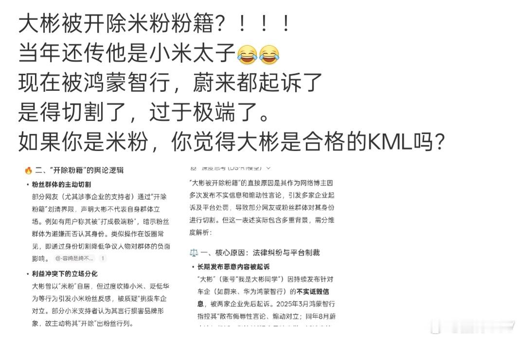 大彬是不是合格的KML，我不知道，但是我知道他给小米的用户形象造成了很坏的影响，
