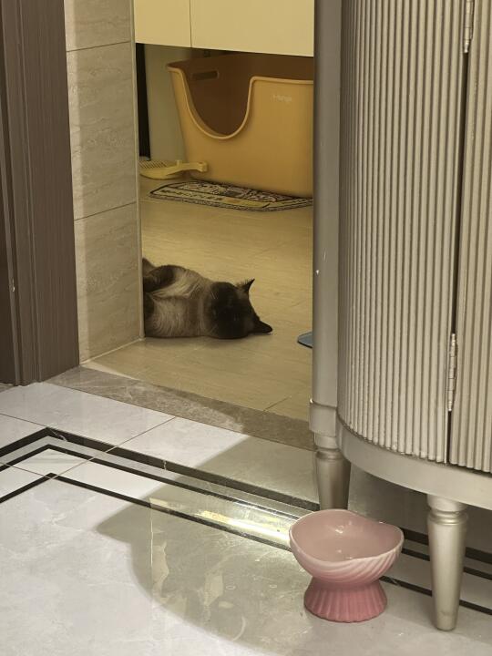 论偷感