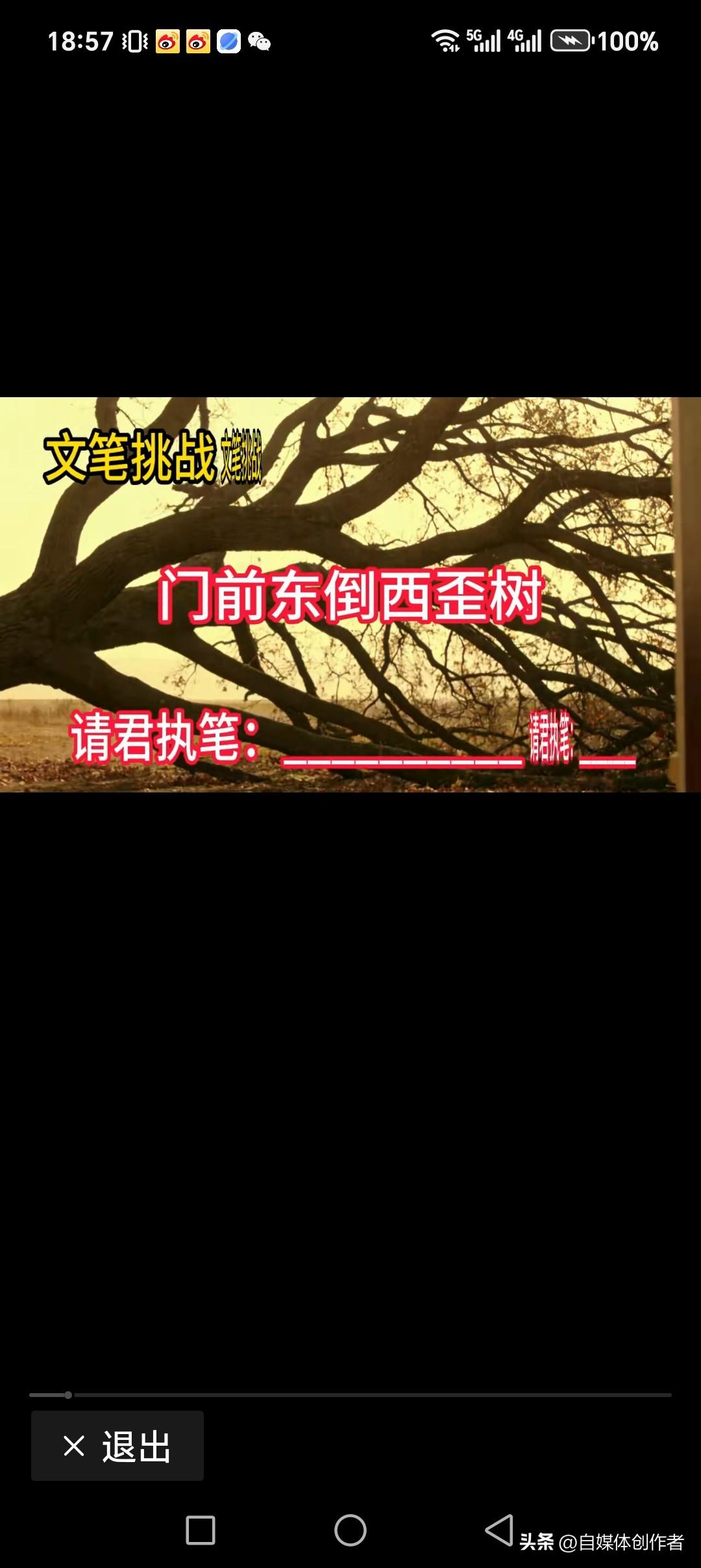 门前东倒西歪树
屋后横七坚八田