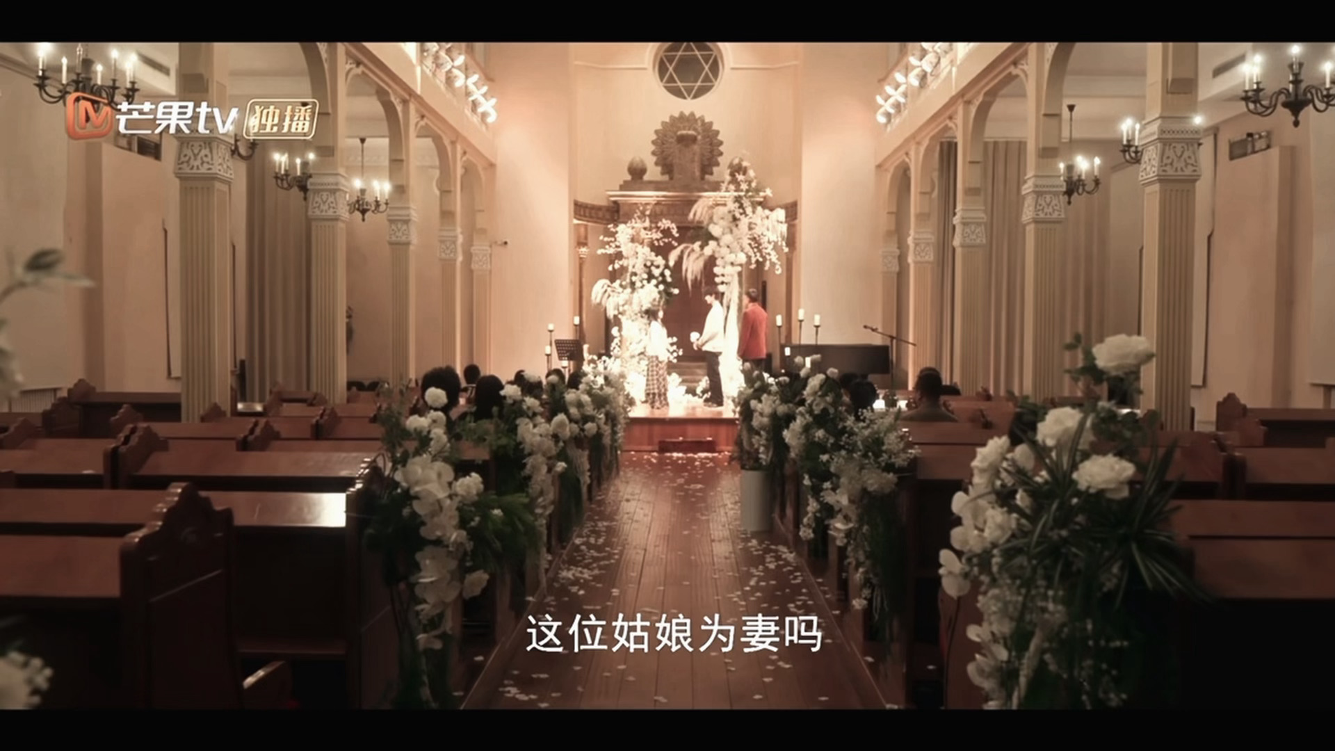 全宇宙都停留在这一刻好吗电视剧炽夏