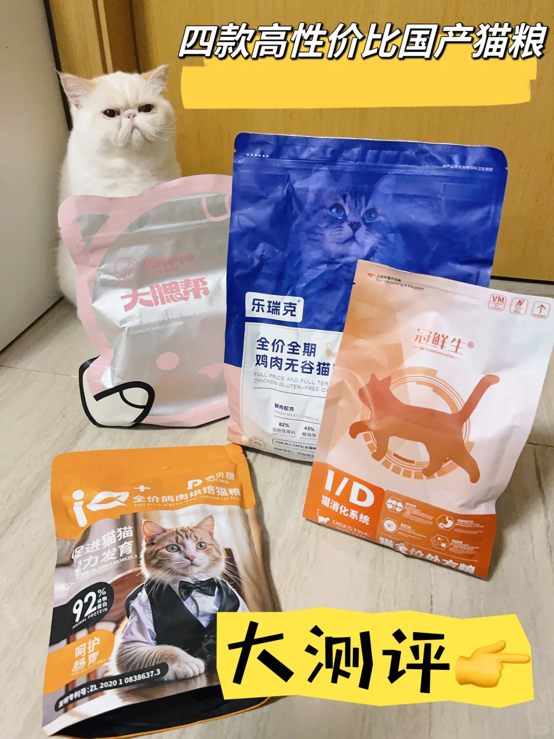 8只猫养猫大户国产猫粮真实测评