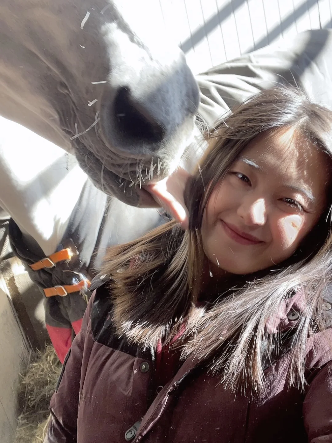 马房的光线无敌了