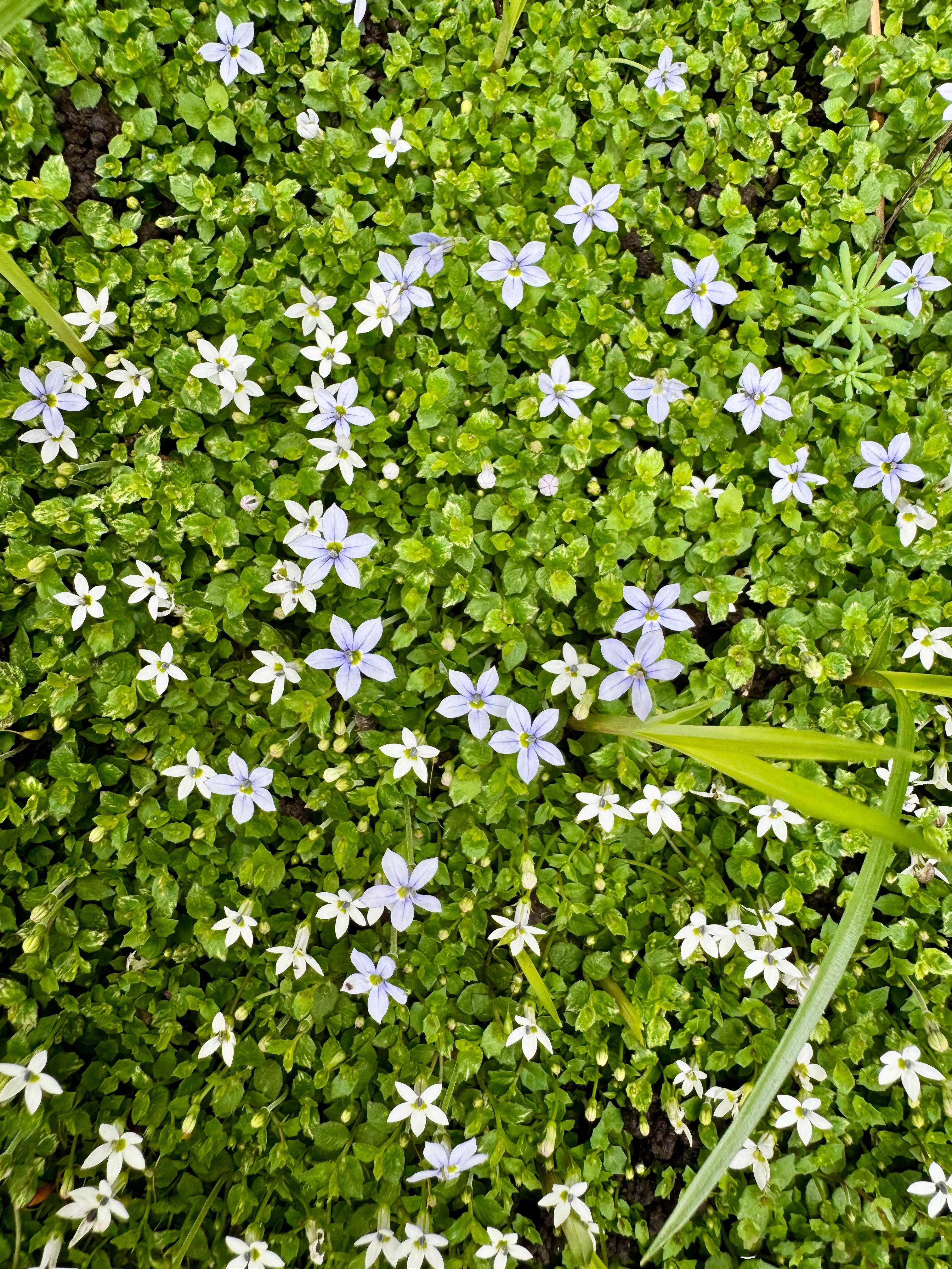 周末上课的信息量太大了，早上到现在一直在整理周末上课的资料。和大家分享几句我觉得