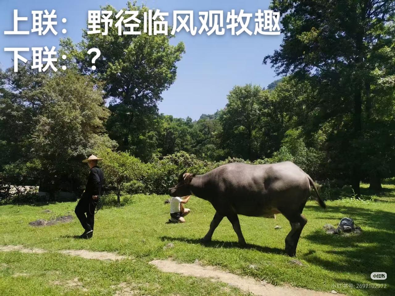 上联：野径临风观牧趣，
下联：？