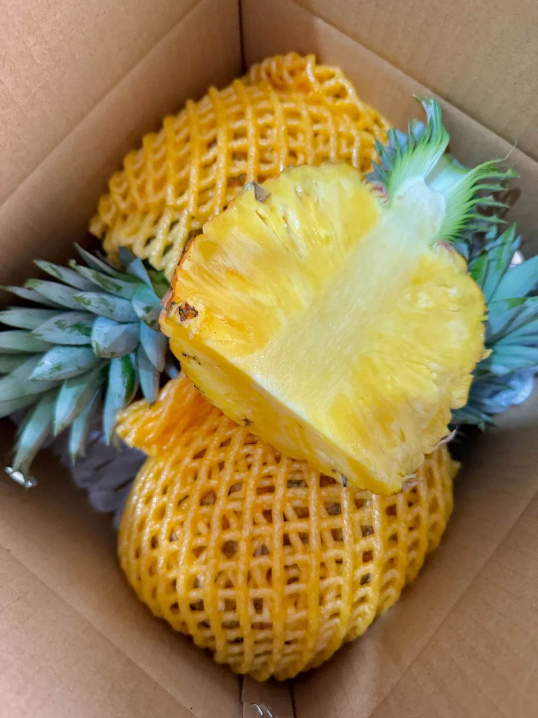 自然熟凤梨，17.9一箱，亏米试吃500箱！