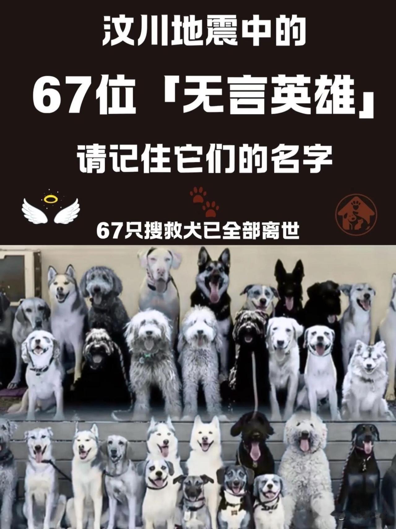 今天才知道
汶川地震的67名英雄
它们永远离开了我们
但它们不该被忘记！

20