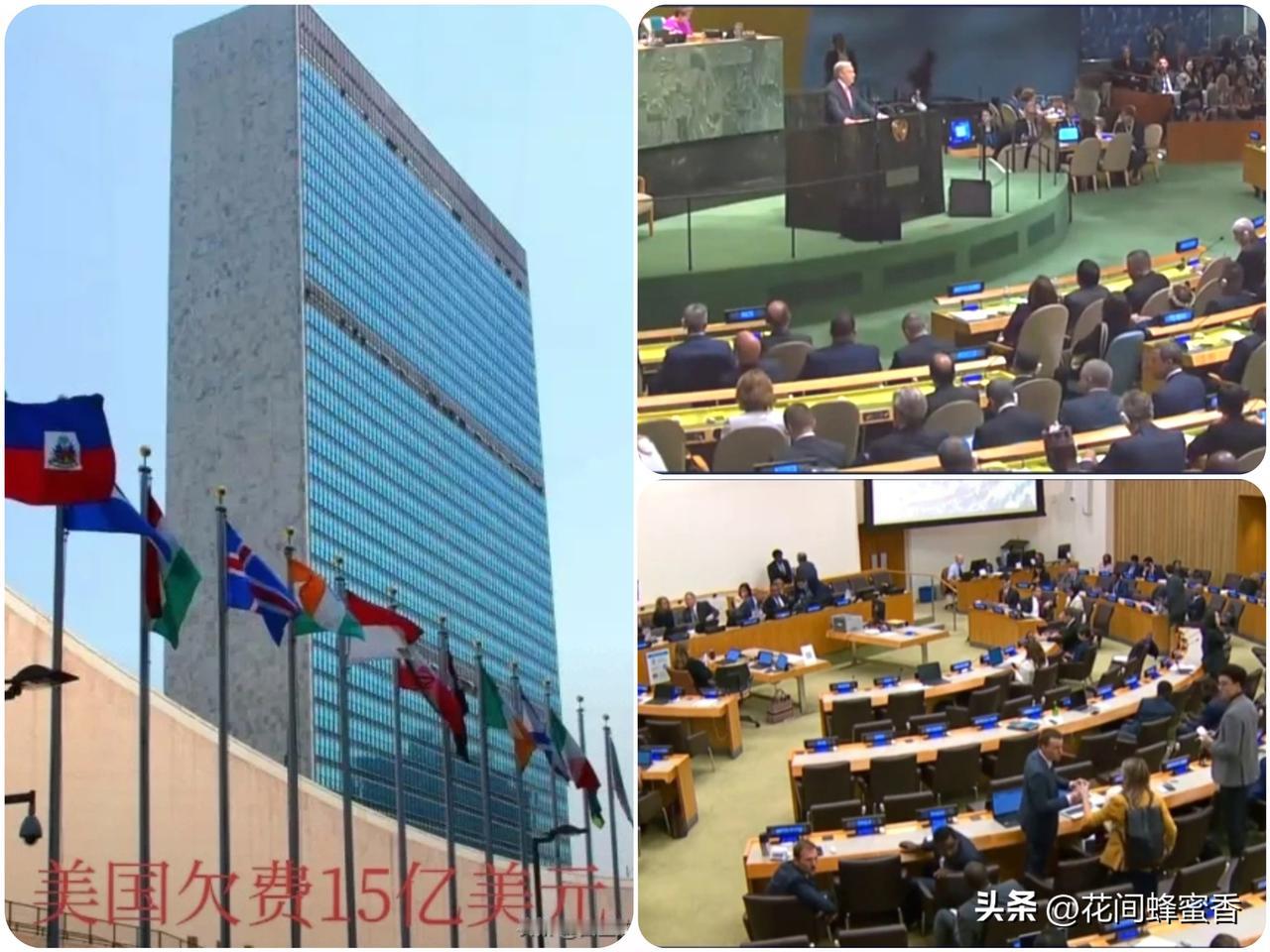 15亿欠费！
美国成联合国最大
"老赖"，超级大国颜面尽…[我想静静]
 
12