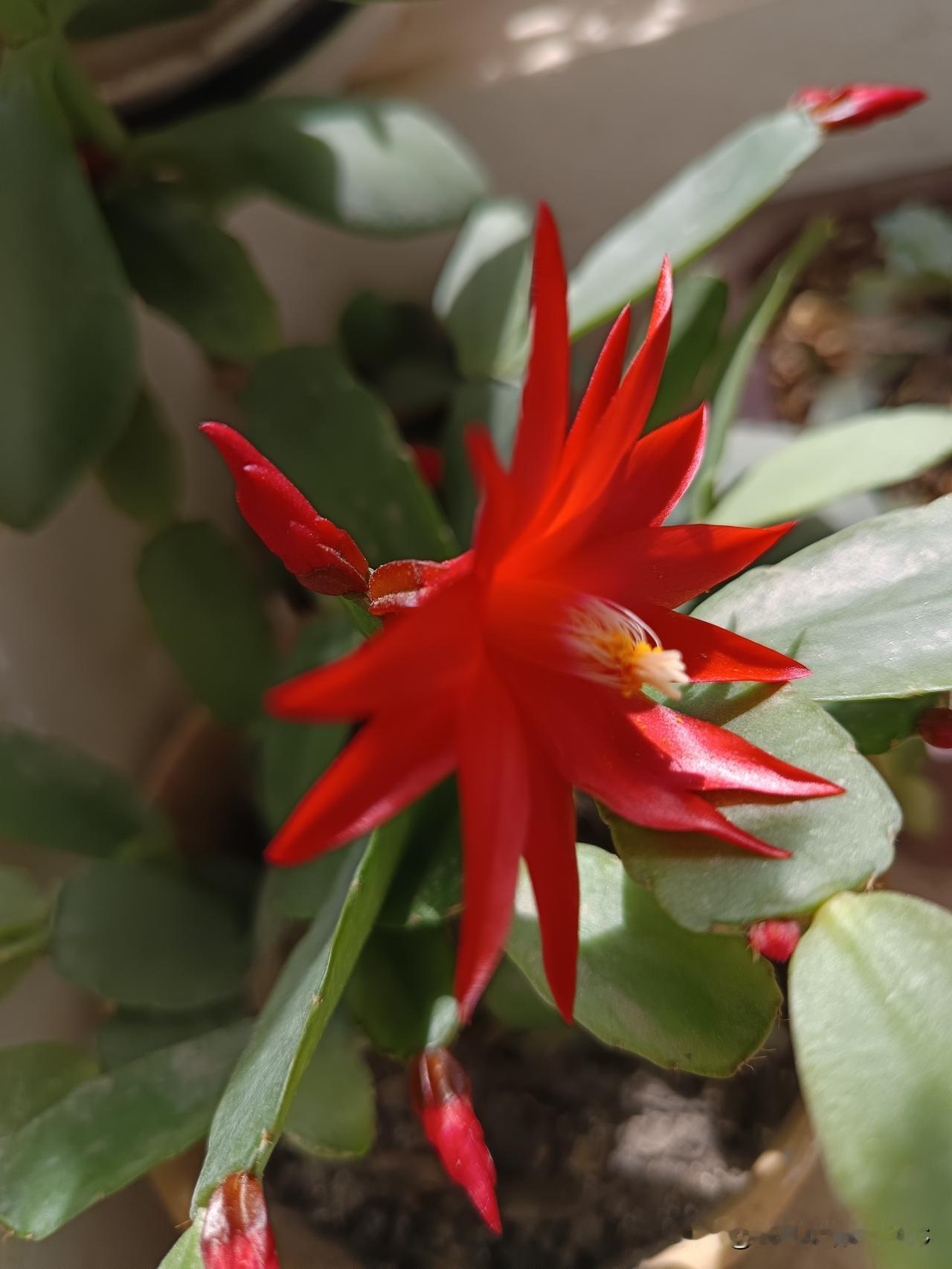 和老公冷战三个月不说话，上网咨询，导师没带犹豫的痛快说，不离婚留着干嘛！太冷漠了