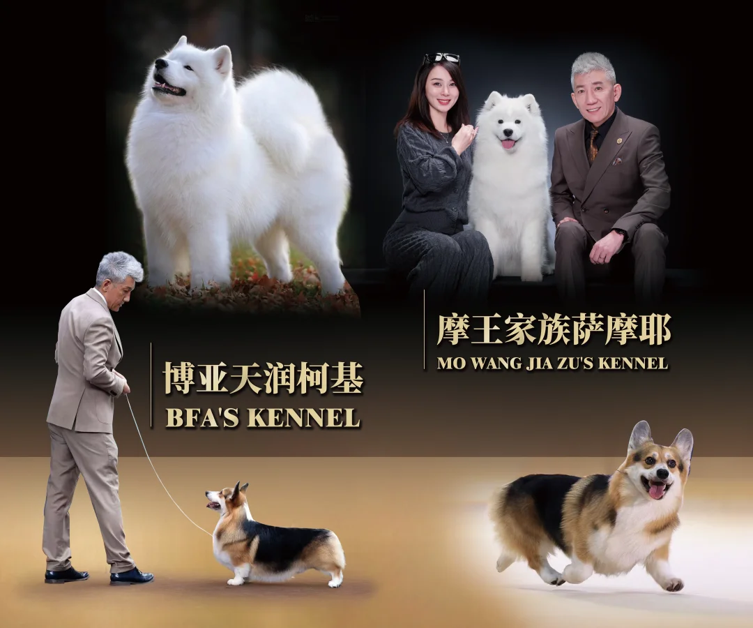 经久不衰，始终顶流。 时间是检验血统的唯一标准， 颜值是征服大众的硬核...