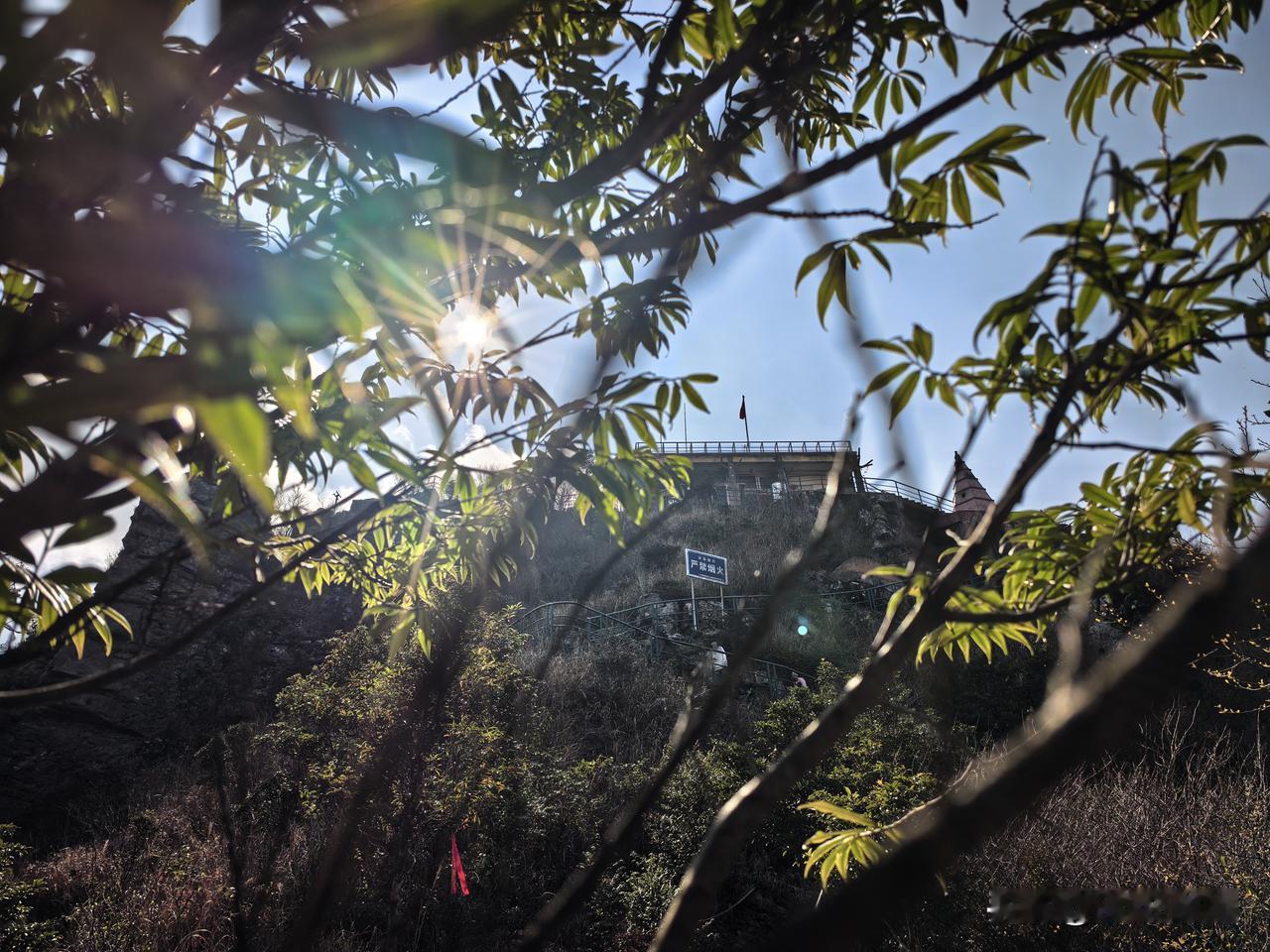 万绿丛中的生机勃勃。