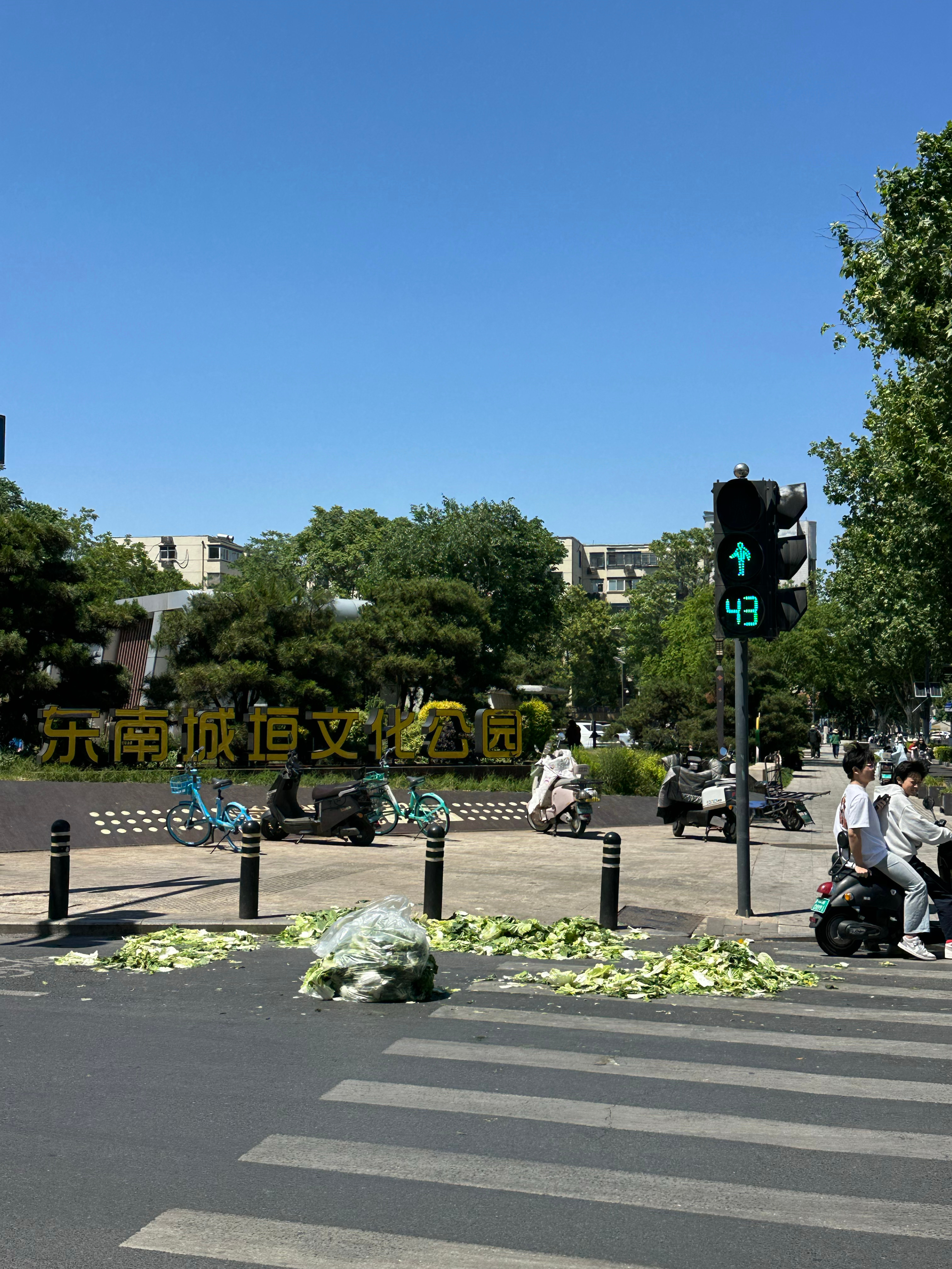 坐标城南路，刚刚卖完白菜的大爷开着车跑了，一地鸡毛，无语😓 郑州·郑州商都国家