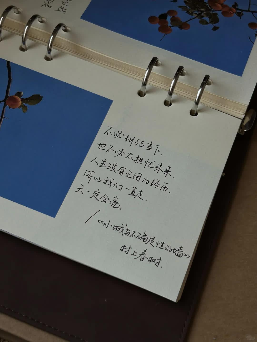 好喜欢村上春树这一句：既然命运充满不确定  不如现在就去做想做的事、见想见的人。