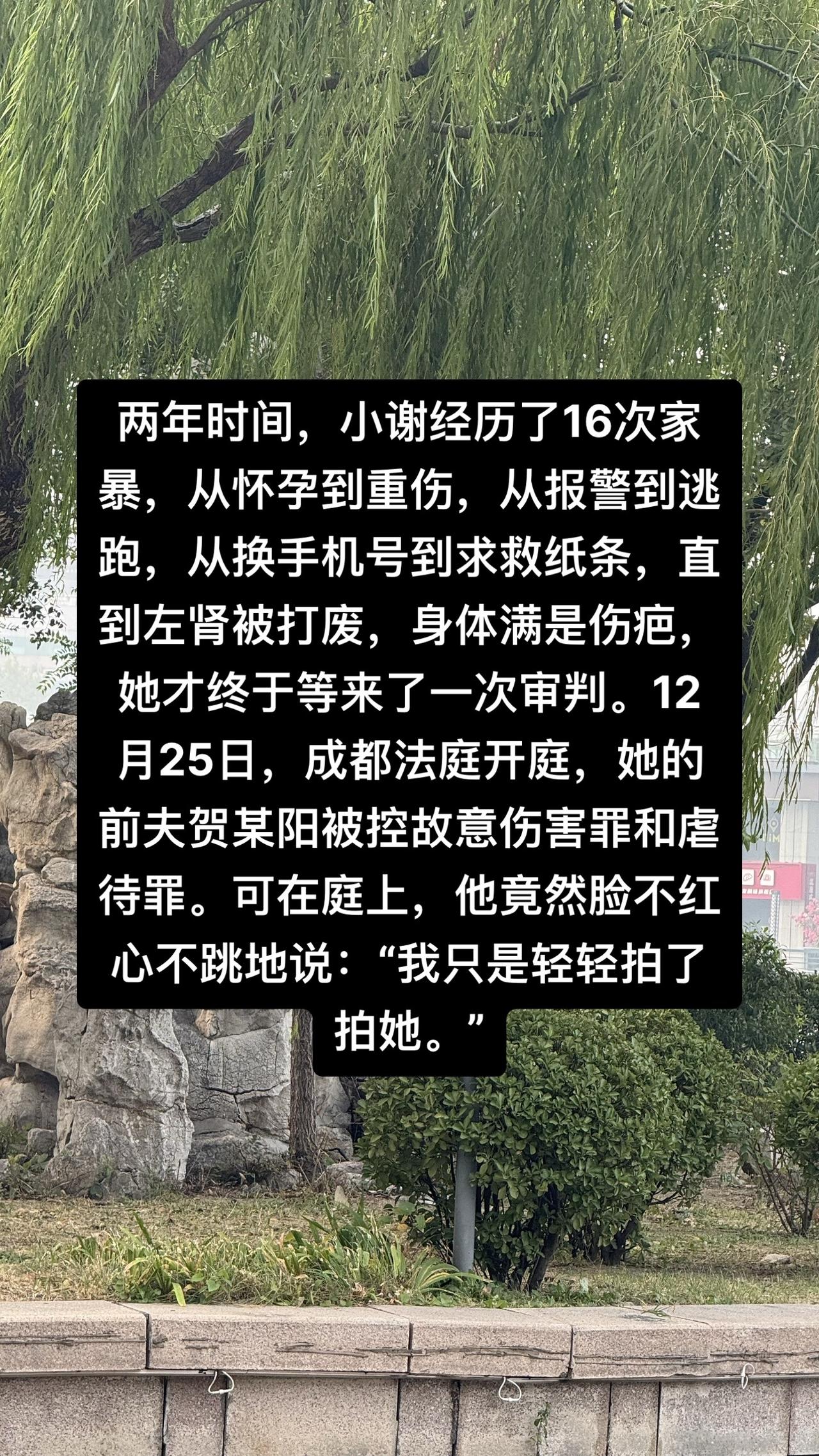 2年被家暴16次案件庭审细节