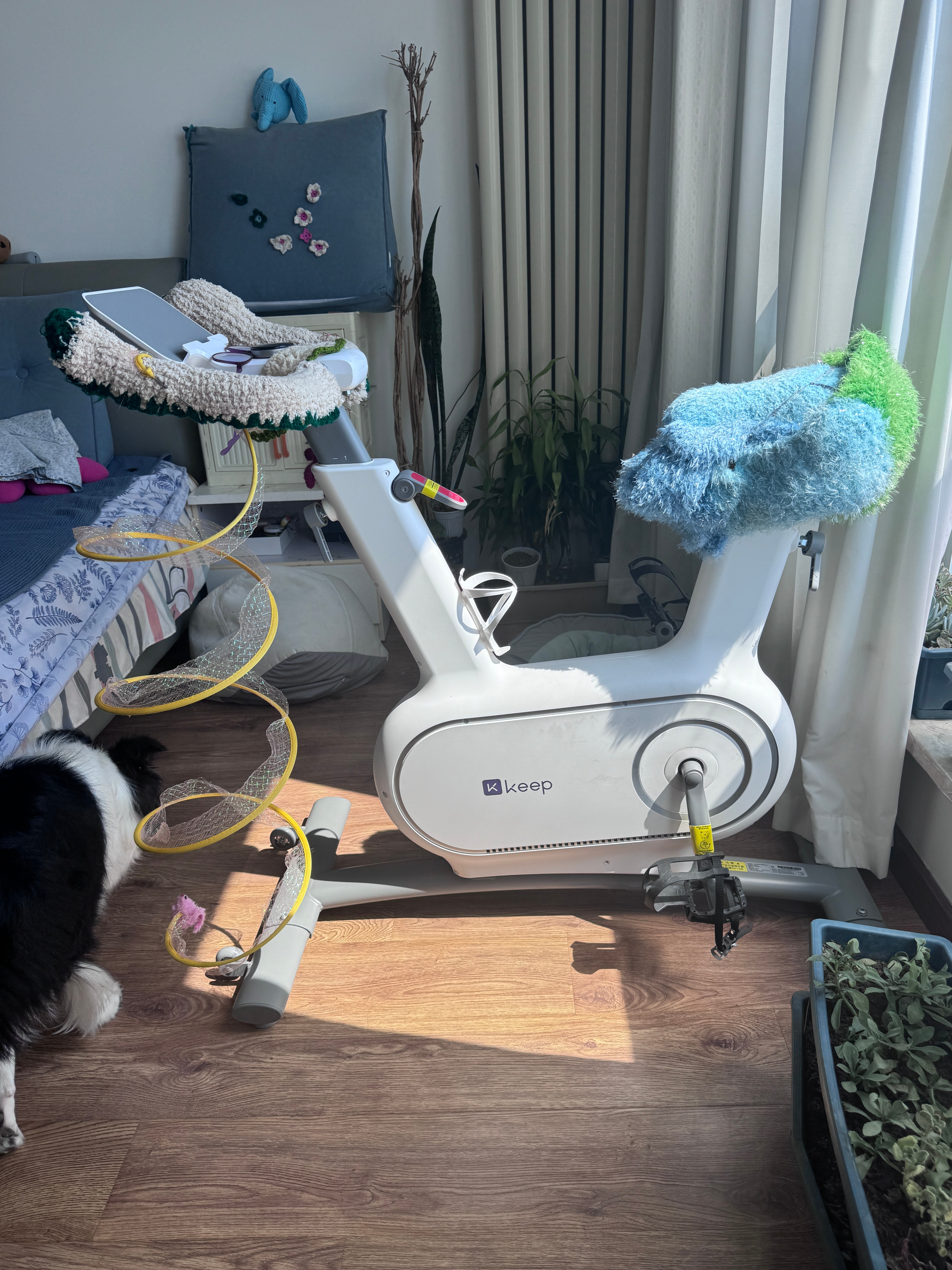 我妈非常喜欢我送给她的健身器材，自己织了好些精致的屁垫、车把套和奇怪的装饰品…然