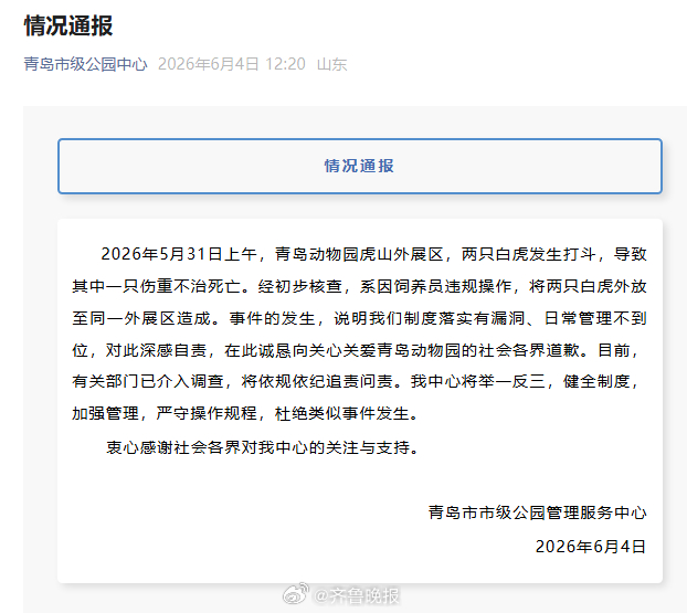 【#官方通报网红孟加拉白虎小孬去世#：#饲养员违规操作致2只白虎打斗1只死亡#】
