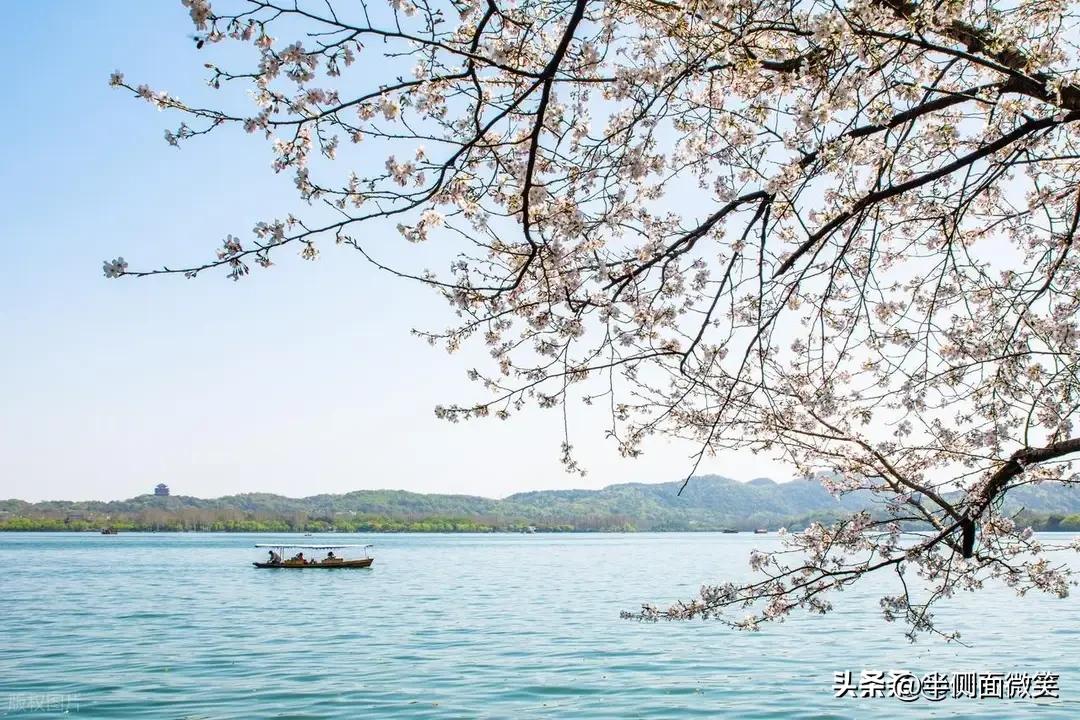 春风拂过钱塘江畔，染绿了西湖岸的垂柳，也唤醒了杭州藏在烟火与诗意里的一座座特色小