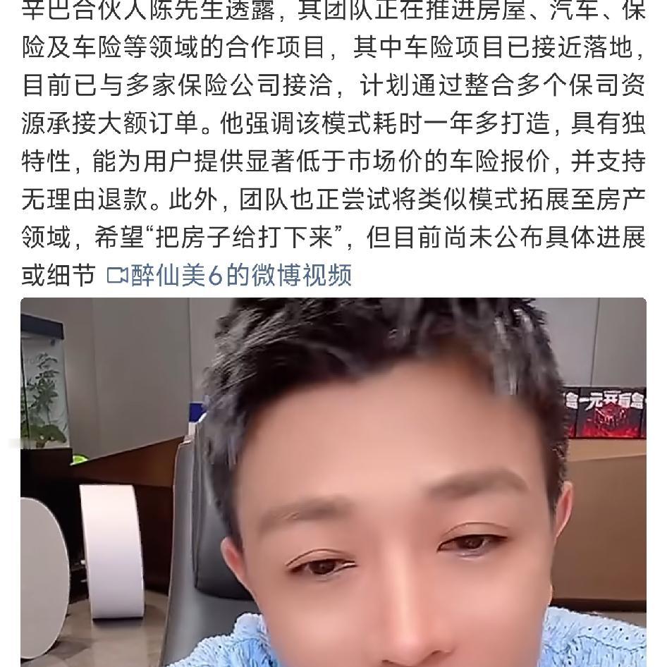 辛巴合伙人陈先生透露，团队布局房产、汽车、保险相关项目，车险项目临近落地，对接多