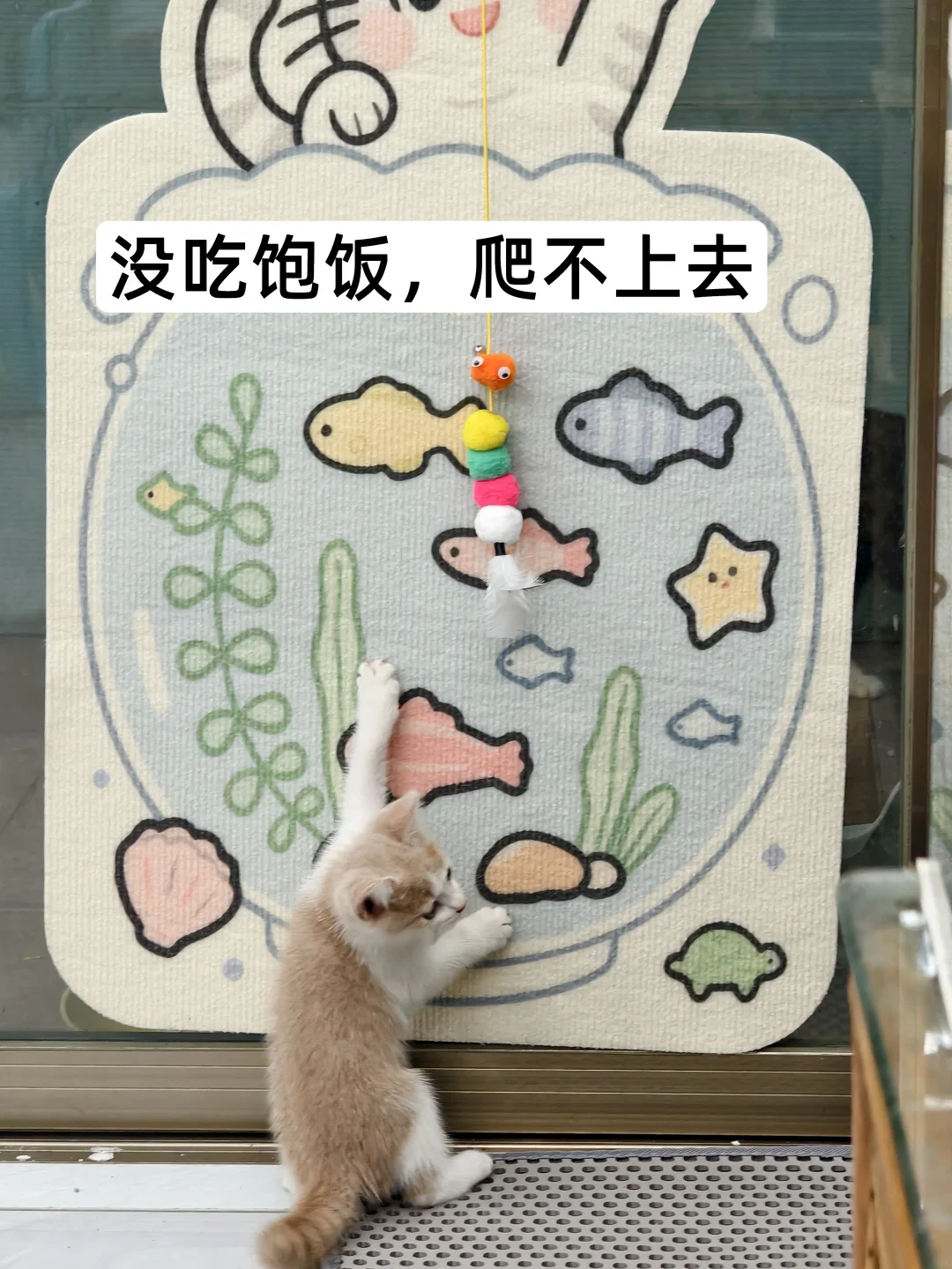 多巴胺小喵叽