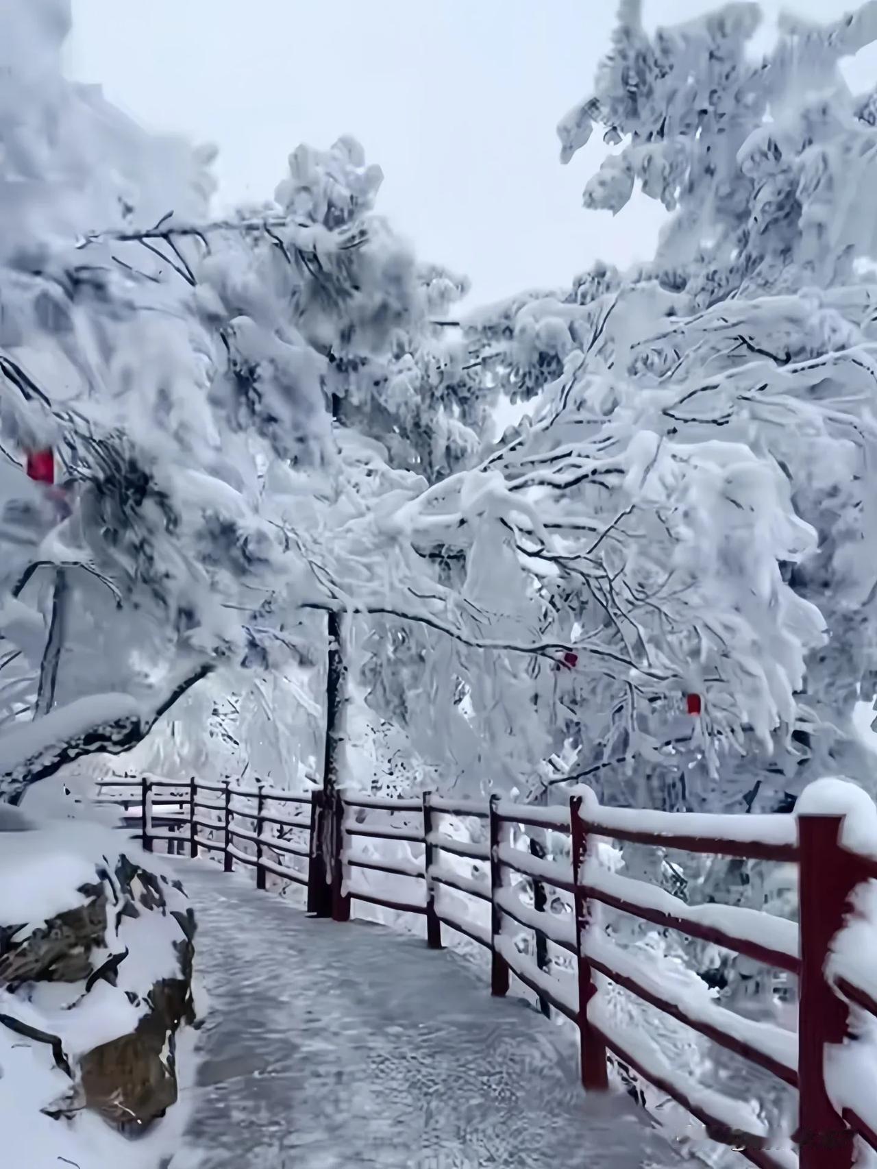 时光飞逝，

岁末悄至，

漫步过四季的温馨画卷，

心中满载着每次相遇的温暖，