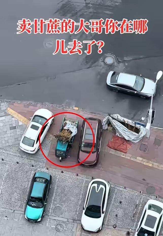 四川，一男子发现，楼下常年摆摊卖甘蔗的大哥从过年之后就没出摊了，路边三轮车上的甘