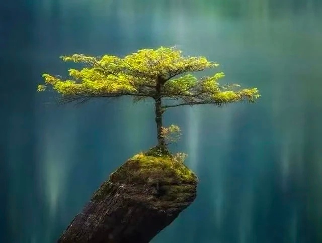 网页链接    悦读荟智慧火花：做很多事，初期都有一个看不到效果的煎熬时期，这个