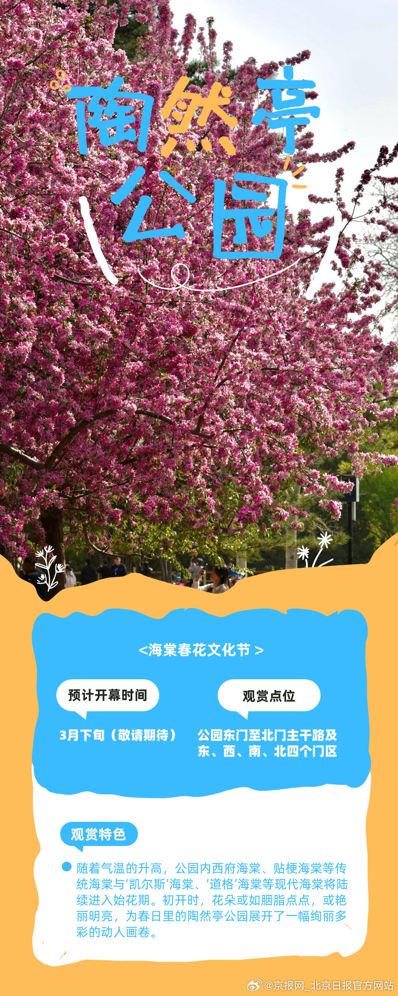 【春和景明！#北京马上就要花花花花花了#】#不敢想北京花开后有多美# 三月风暖，