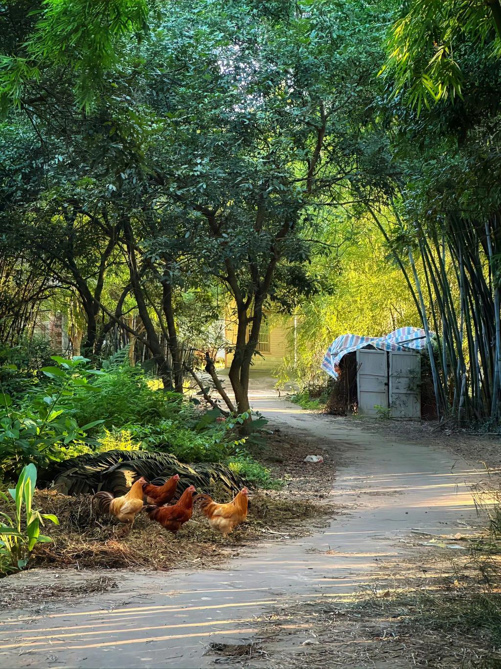 你发了一篇文章，点赞评论看着挺热闹，真正从头看到尾的，没几个。

有人上来就点赞