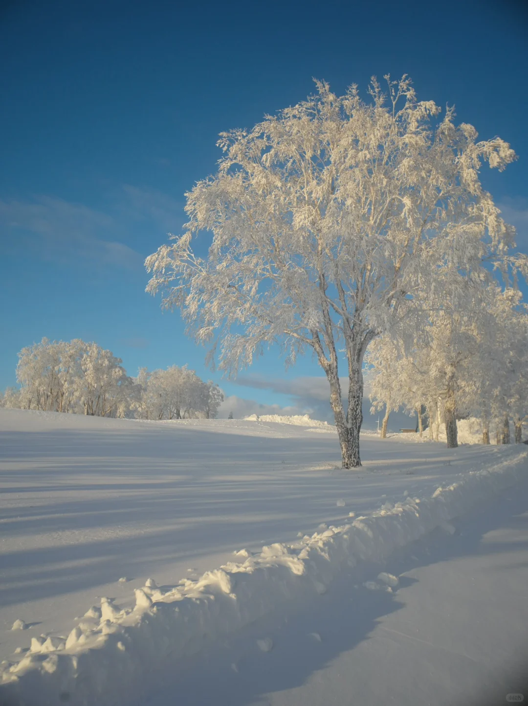 山里雪景