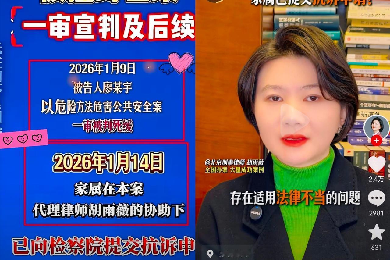 这申请一提交，
估计检察院的睡不着觉了
​那个叫胡雨薇的律师这回是真刚，直接把话