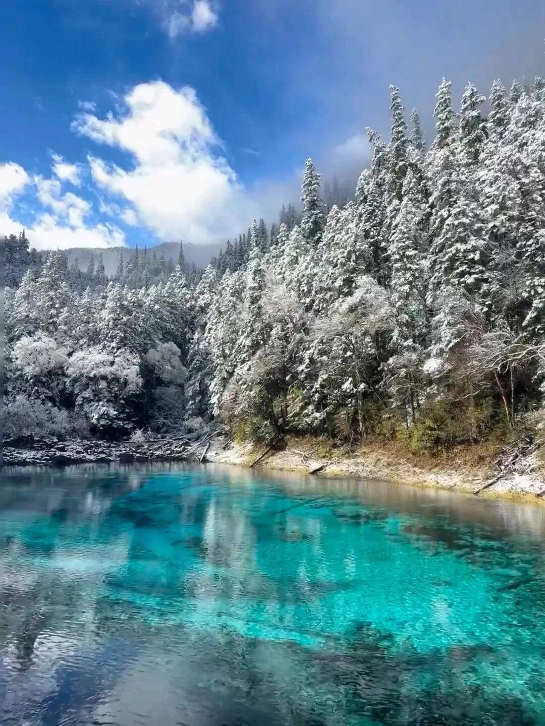 11.4📍九寨沟下雪啦，给11月来的提个醒🥲… .