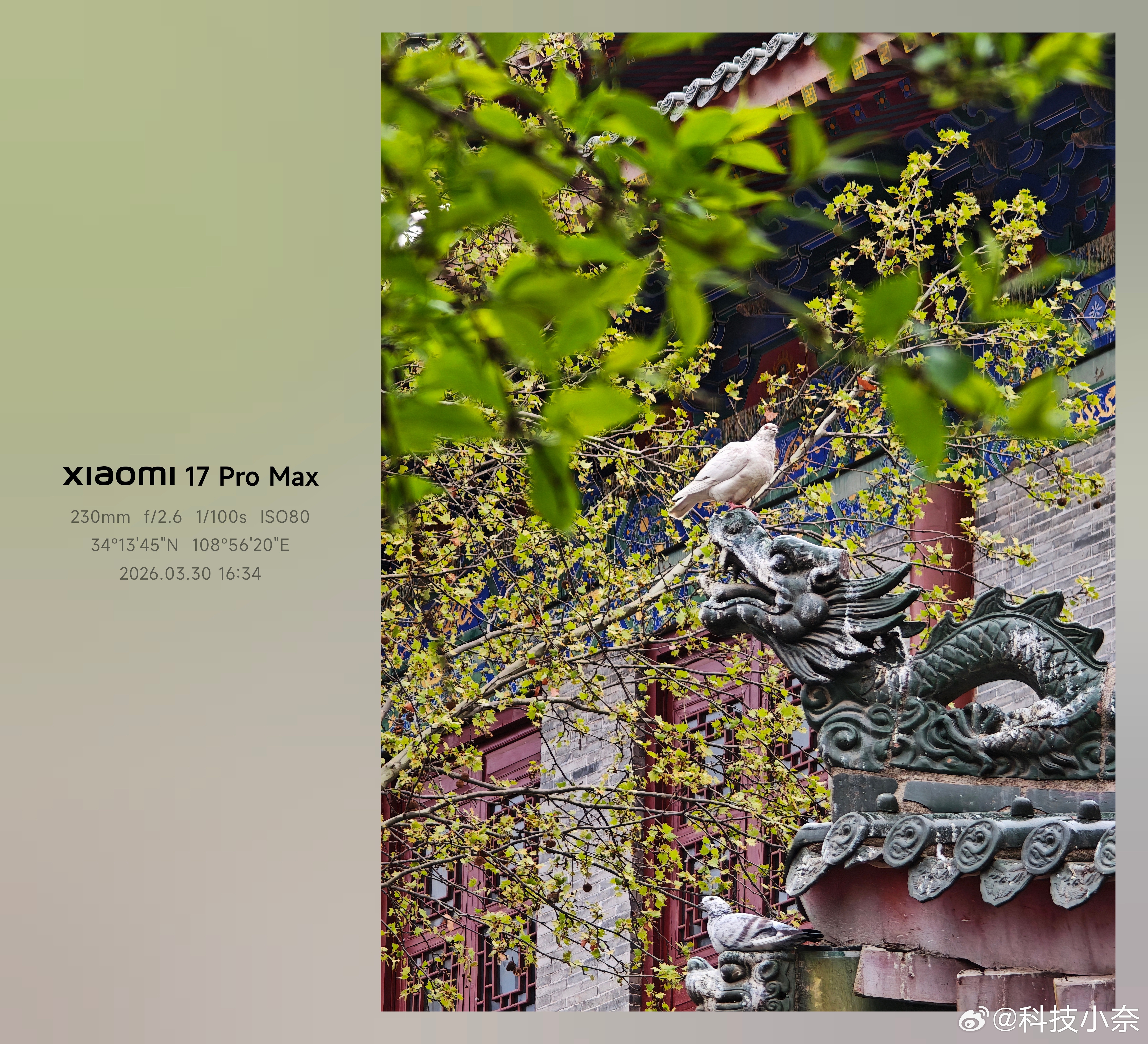 这么快，26年都到4月了！昨晚看到一句老喜欢的话：在清晨投身热爱的事业，在黄昏拥