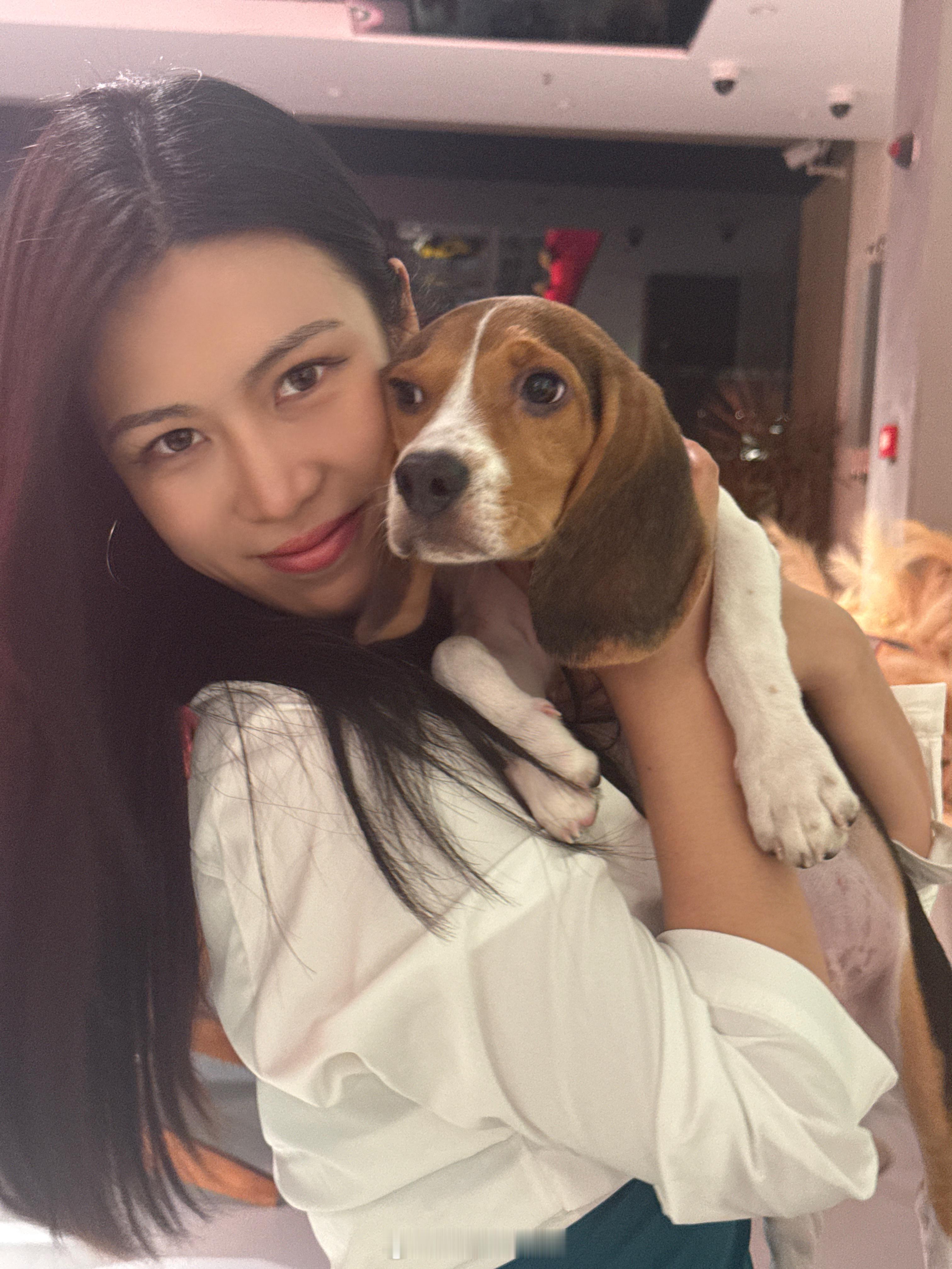 🐕 