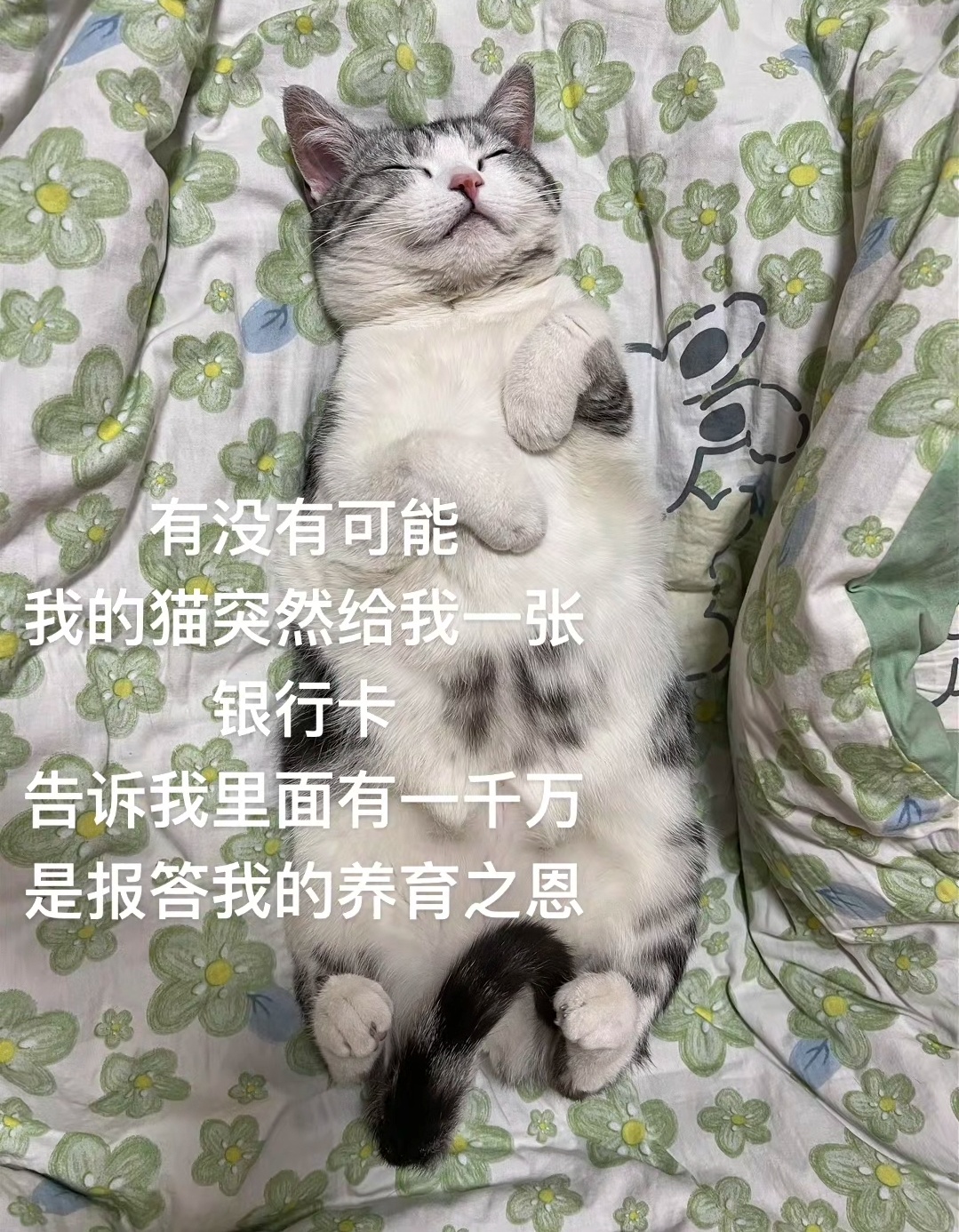 猫猫有一千万还用你养育[doge][喵喵] ​​​