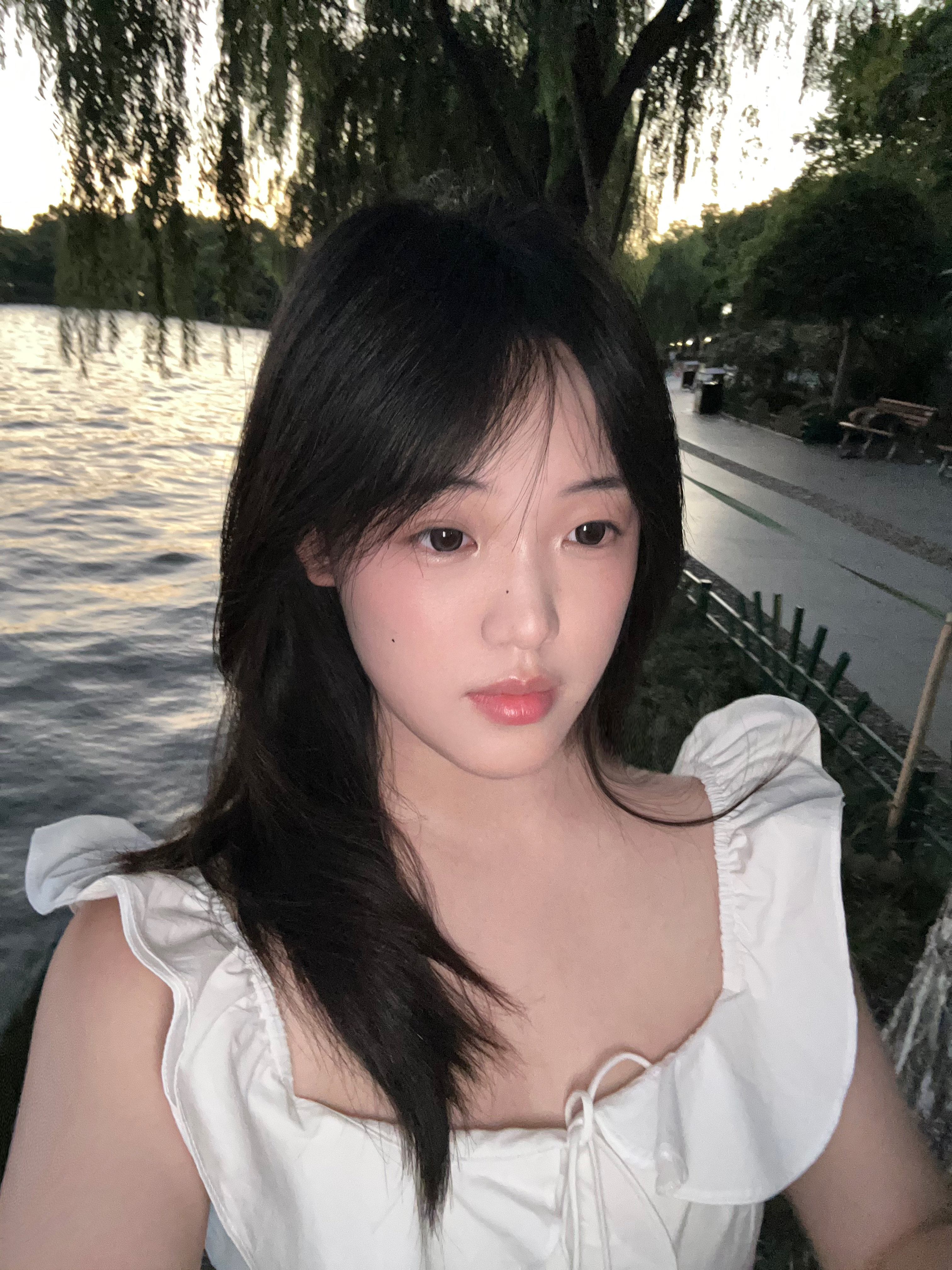 网络猫爬架 ​​​