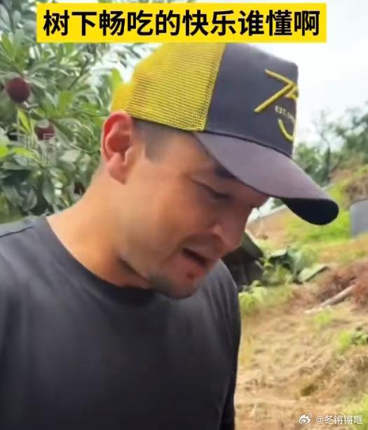 西热力江体验口摘仙居杨梅的快乐球星上山沉浸式摘梅畅吃，仙居东魁个大爆汁，明星打卡