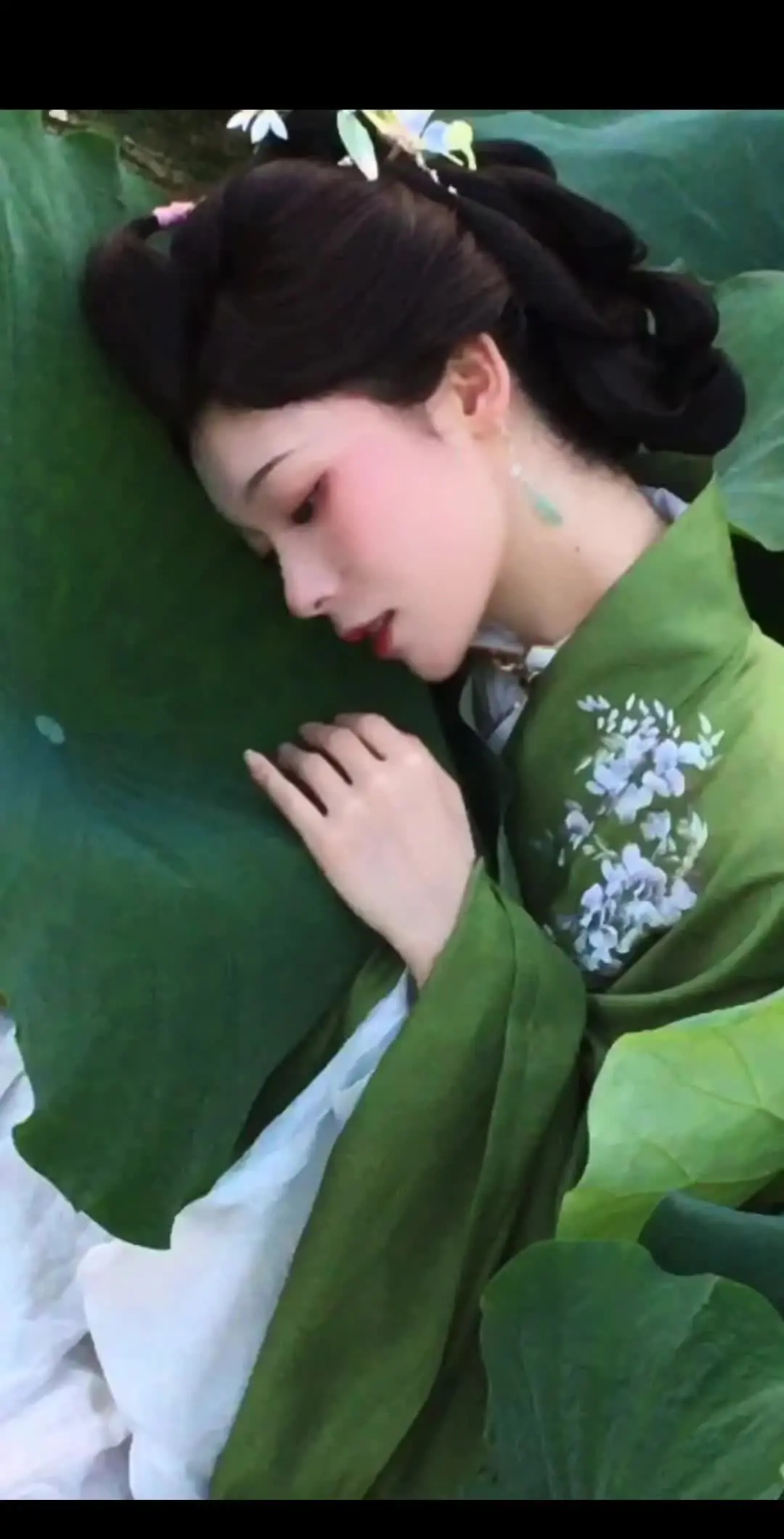 接天莲叶无穷碧