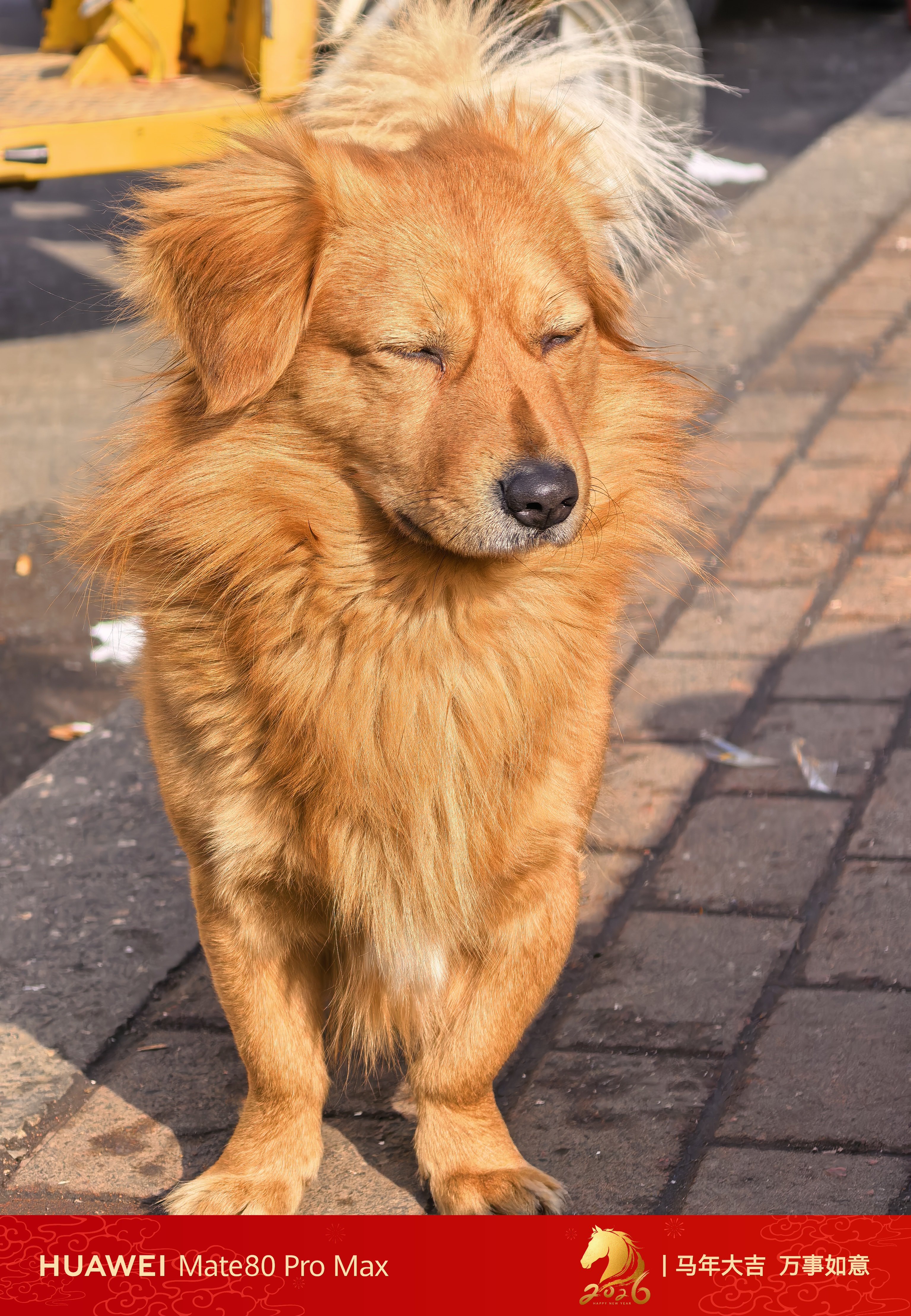 员工转走220万存款银行不愿赔偿以后银行职员随意转走储户的钱银行都不承担责任的话