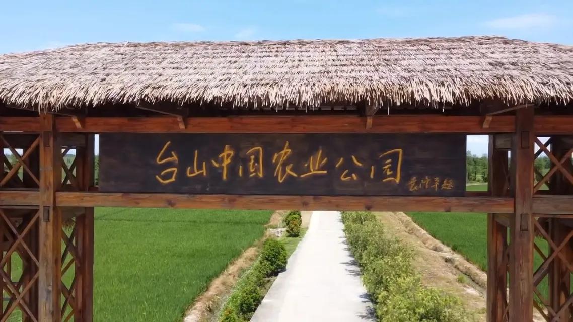 工作点滴足迹：台山市都斛镇
都斛镇介绍
 
历史：都斛镇明清时期属矬峒都。民国时