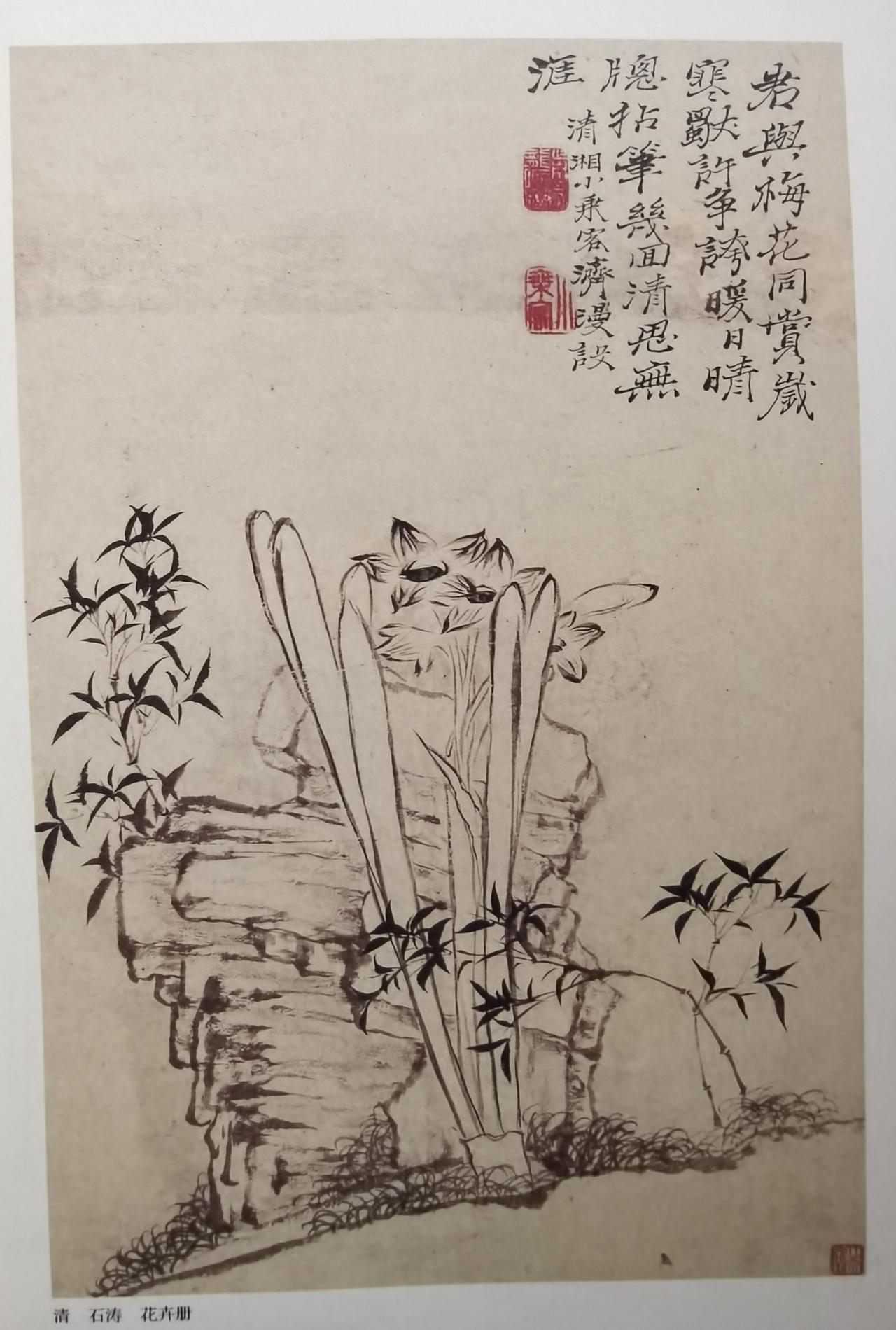 君与梅花同赏，画中有君子兰，嫩竹，还有小草，一块不规则的山石。这幅图淡然清静，唯