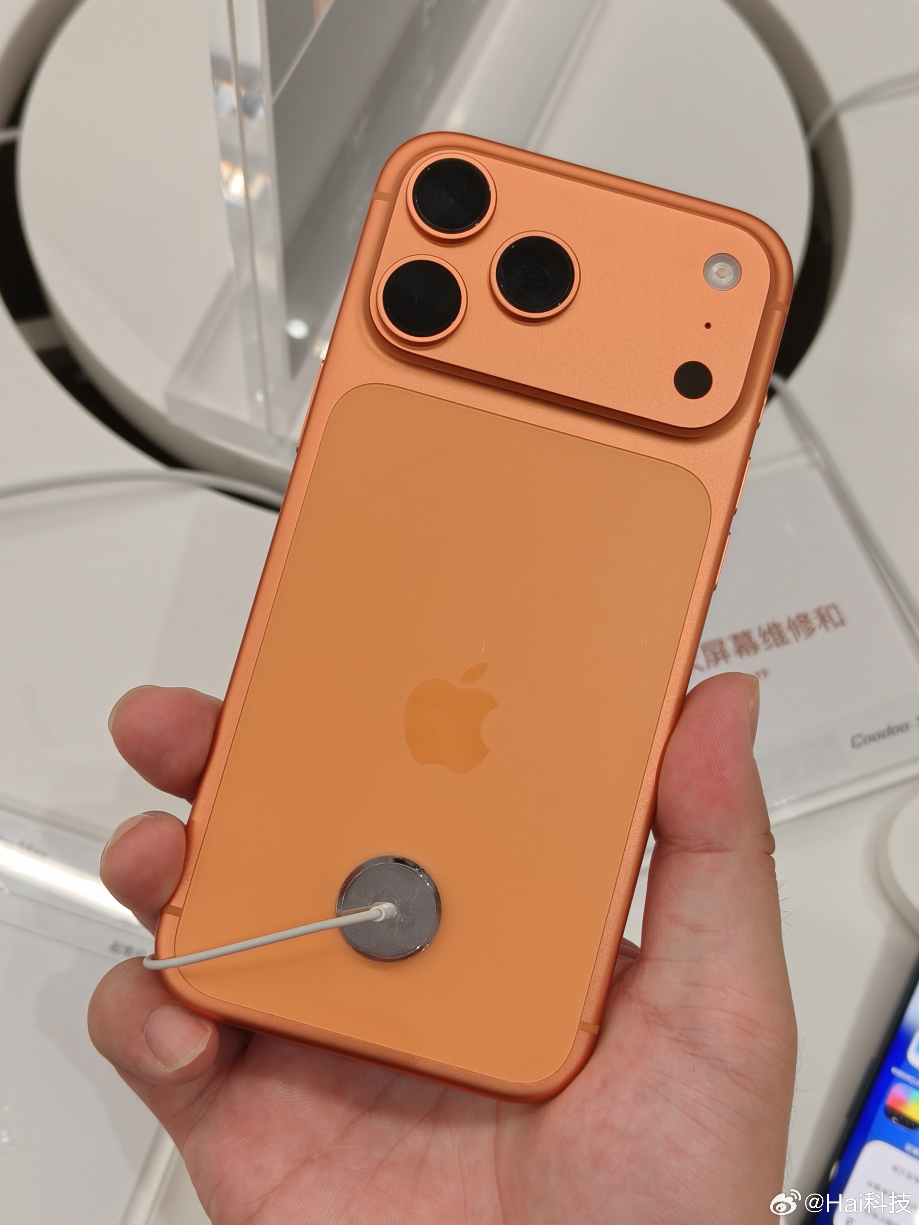 早，作为一名已经买了iPhone的果粉，最重要的是学会自适应，一旦自适应都不是问