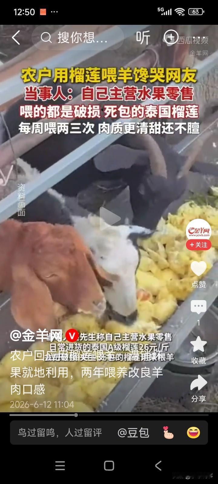 河北邢台，网上流传着一个农民用榴莲喂羊的视频，十分火爆。
有网友不禁发问，这农民