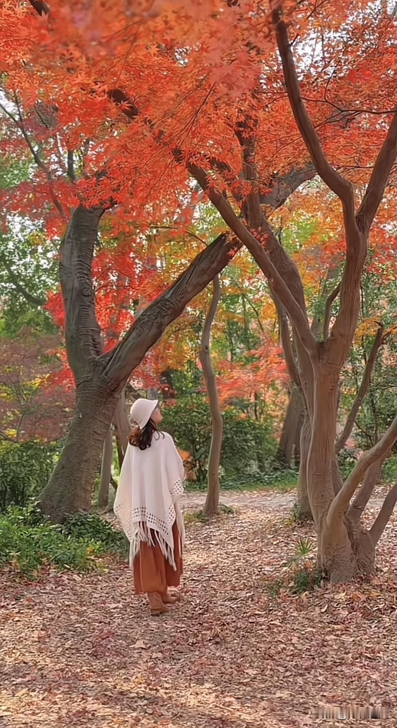 新思维：人无贪念，空明；满心期待，失聪

刚才看弘一法师的东东，发现他“人无贪念