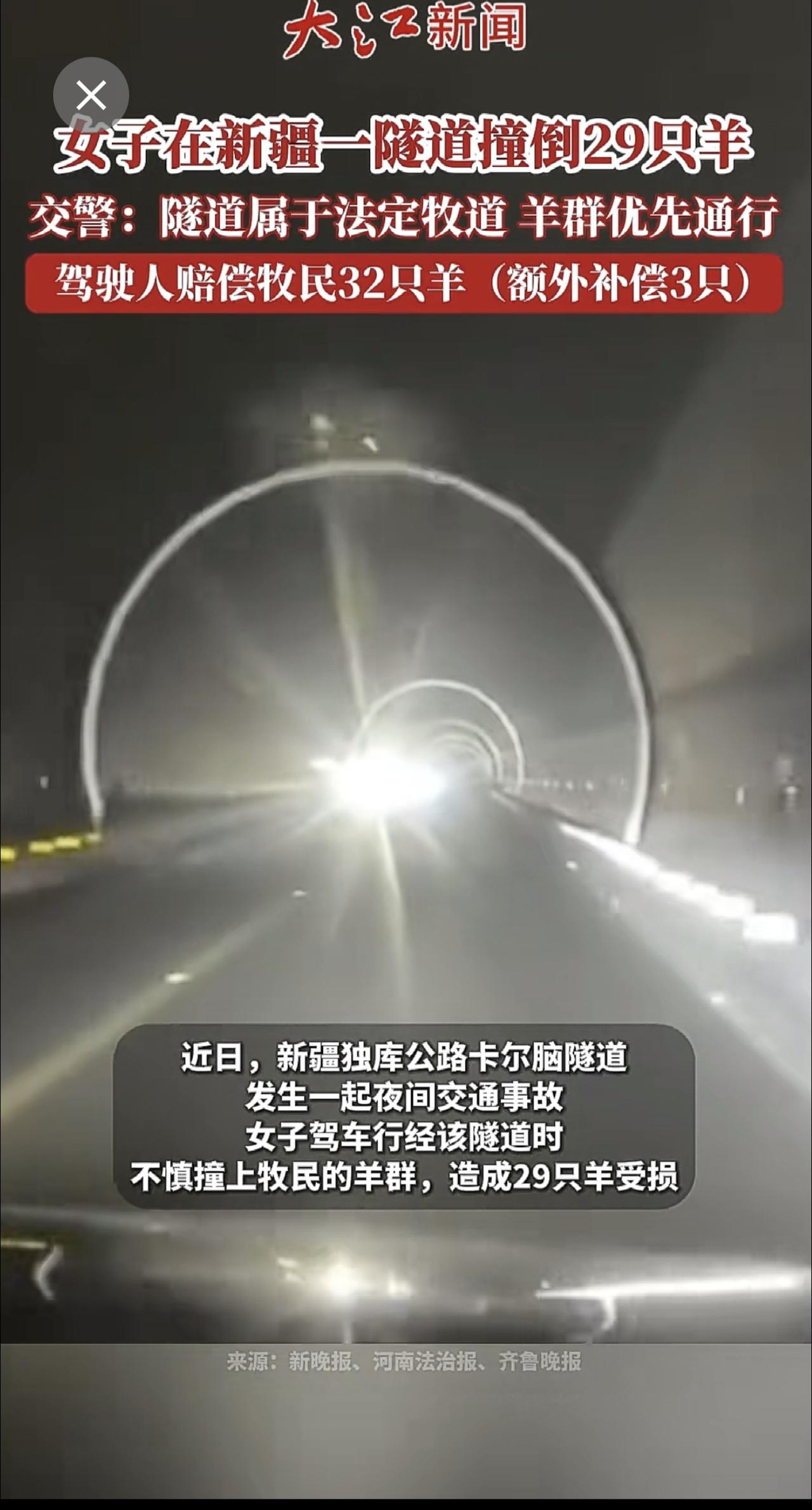 女子在新疆一隧道撞倒29只羊，交警回应: 司机负全责，该隧道属于法定牧道，羊群有