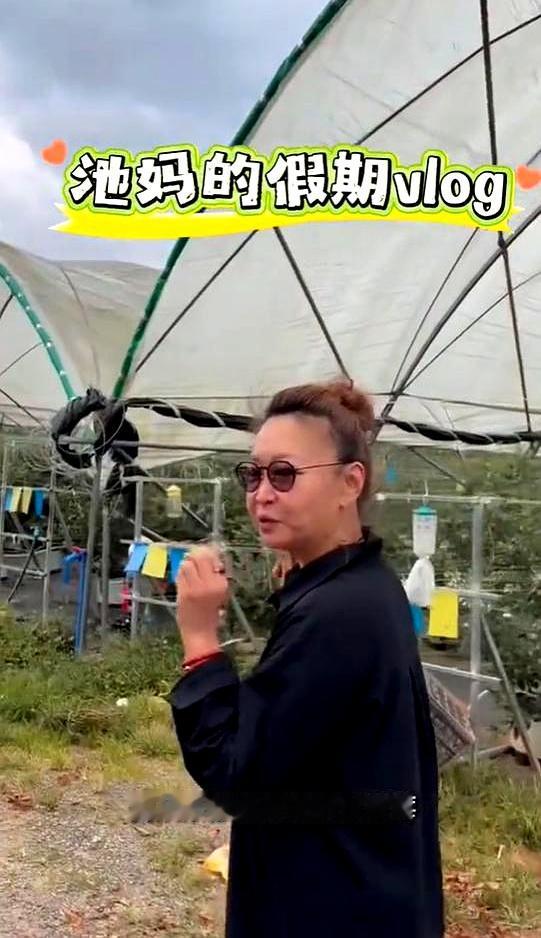 刘天池跟祖峰国庆跑去摘蓝莓，她头一回自己上手摘，兴奋得跟小孩似的，蓝莓都不带洗的