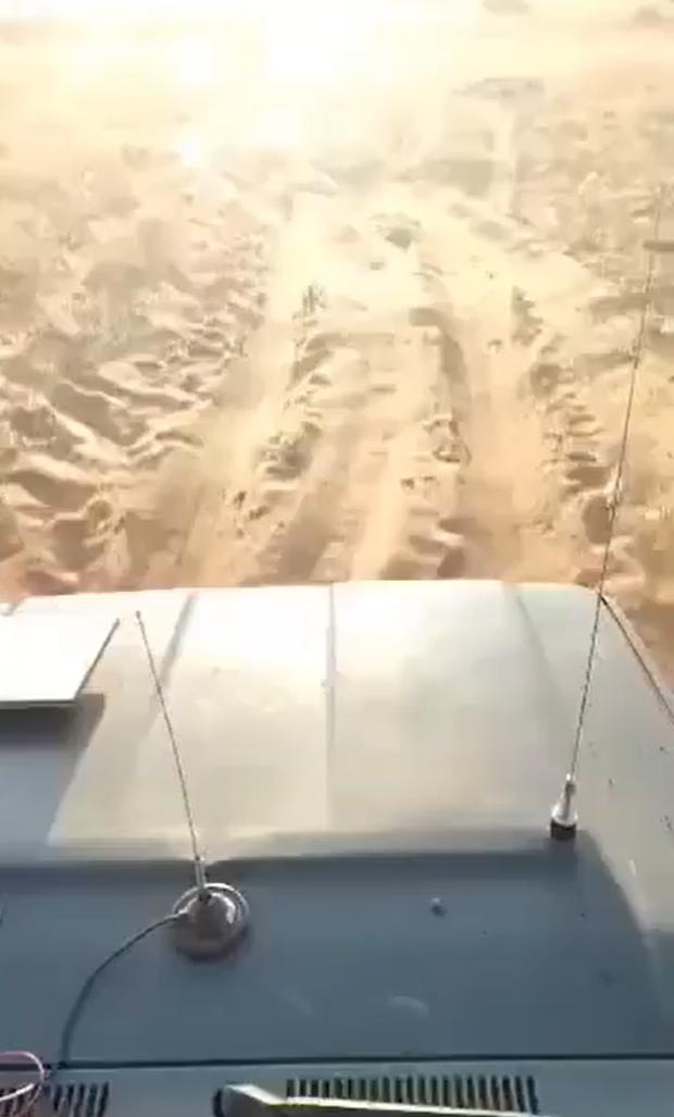 苏丹法希尔城陷一周后，城郊景象尽收眼底。无数尸体横七竖八地散落在地，有些尸体甚至