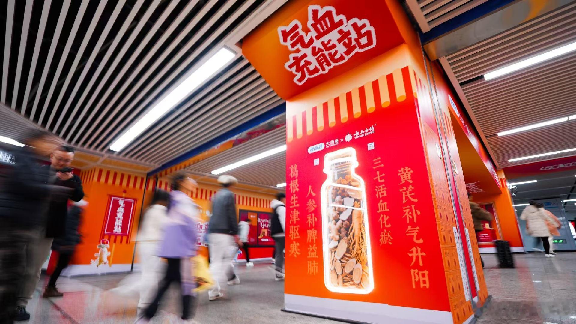 品味中药名的雅致，感受传统养生智慧。黄芪、三七、人参、葛根，每一味都是调理气血的