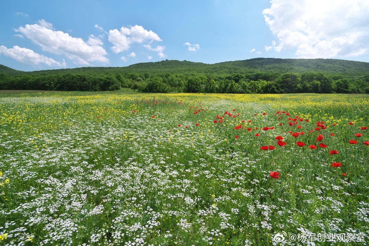 【发展期股权核心：先建校，再造血，后绑人】连锁企业发展期，股权吸引技术人才是必答