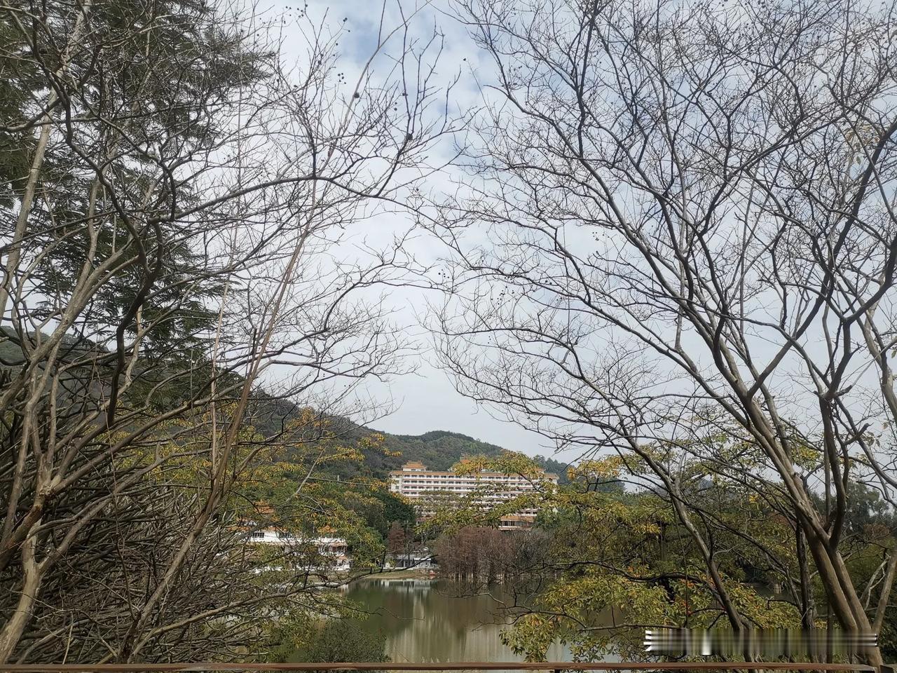 顺德最早的4星高档酒店，依山傍水